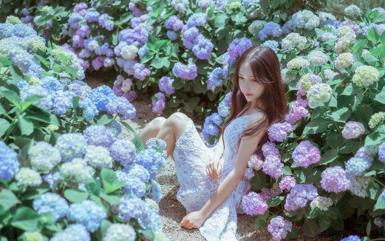 京津冀地区精品盆景吸引市民参观